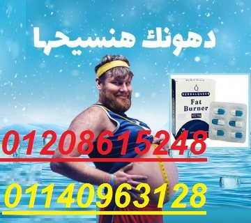 فات بيرنر لسد الشهية01140963128/01208615248