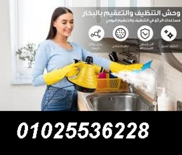 steam cleaner مساعدك فى التنظيف بالبخار 1