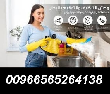 steam cleaner مساعدك فى التنظيف بالبخار00966565264138