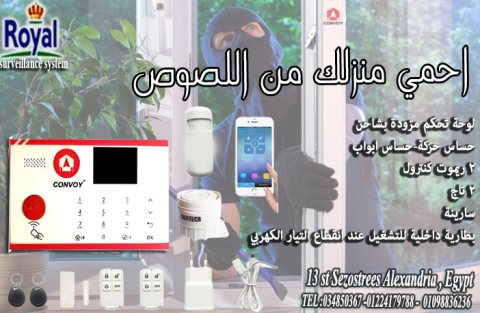 نظام انذار سرقة في اسكندرية  1