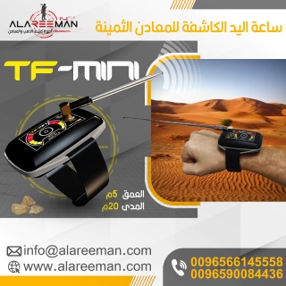 ساعة كشف الذهب TF-mini الأحدث عالميا 2