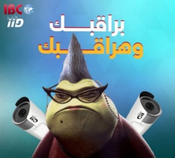 يعنى ايه كاميرات مراقبه من IBC 