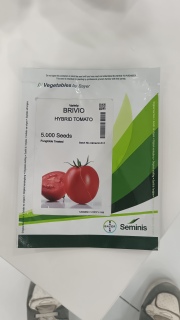 بذور طماطم الاقوي والأفضل في العالم brivio hybrid tomato 5.000 se