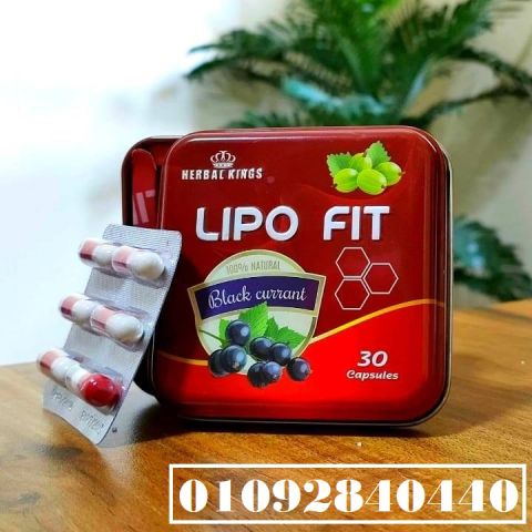 كبسولات ليبو فيت – LIPO* *FIT* *CAPSULES* للتخسيس